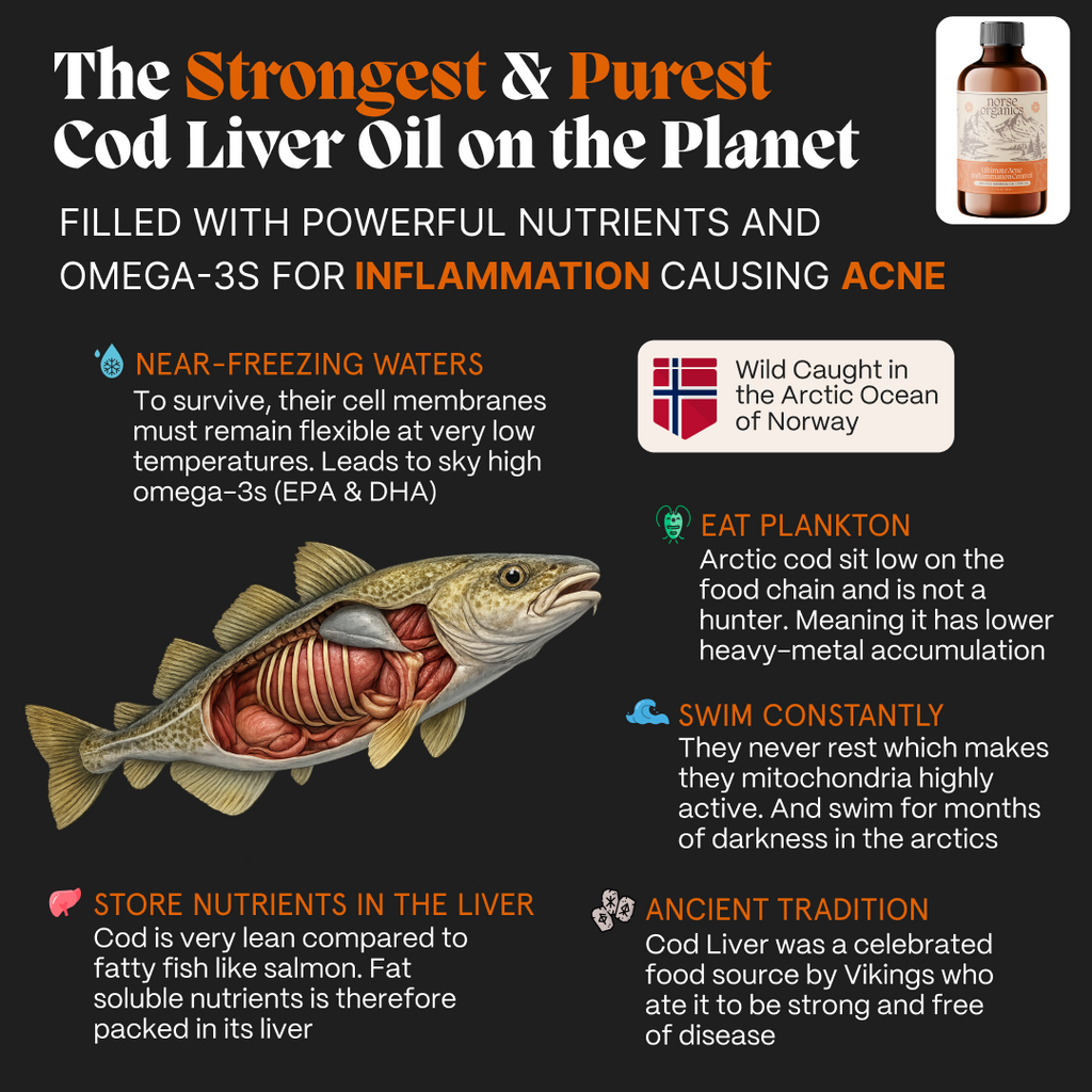 Complete Gut Repair & Hormonal Balance System for Male Acne